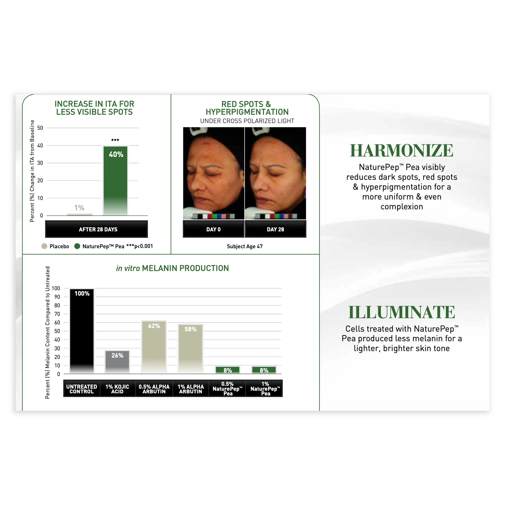 Collagen & Peptide Night Cream - Image 5